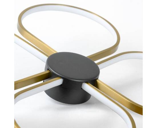 Потолочная люстра Lussole Lowell LSP-7351, изображение 4