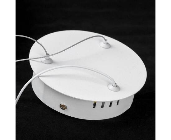 Подвесной светильник Lussole LSP-7363, изображение 4