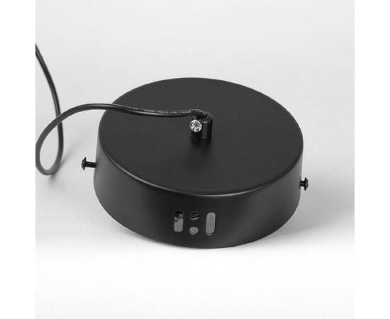 Подвесной светильник Lussole Aberdeen LSP-7375, изображение 6