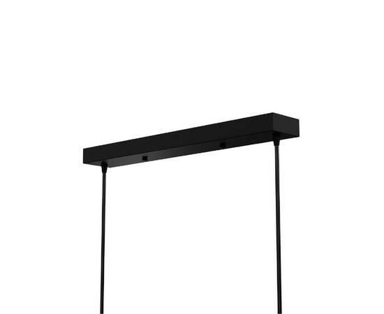 Подвесной светильник Lightera Rudolf LE114L-3B SMART, изображение 6