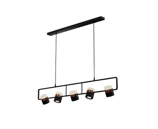 Подвесной светильник Lightera Rudolf LE114L-5B SMART, изображение 2