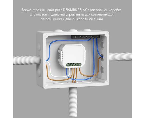 Двухканальное Wi-Fi реле-диммер Denkirs Relay RL1004-DM/1, изображение 2
