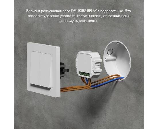 Двухканальное Wi-Fi реле-диммер Denkirs Relay RL1004-DM/1, изображение 4