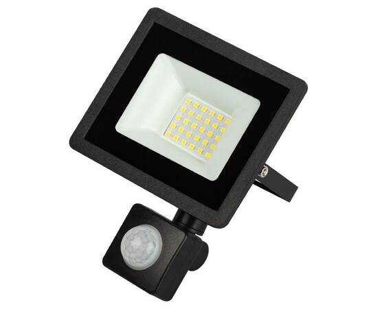 Прожектор Эра LPR-042-2-65K-030 Б0064234