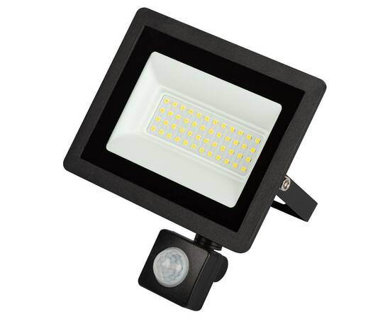 Прожектор Эра LPR-042-2-65K-050 Б0064292