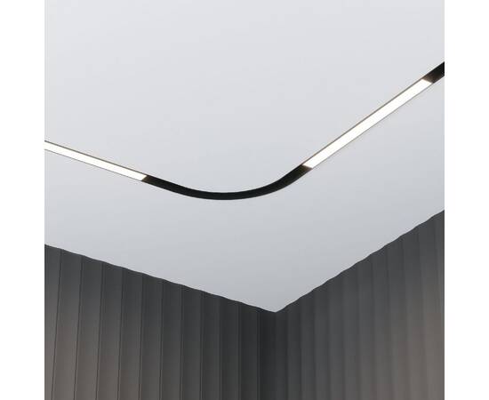 Трековый светодиодный светильник Maytoni Technical Basis TR030-4-12WTW-DSZ-B, изображение 2