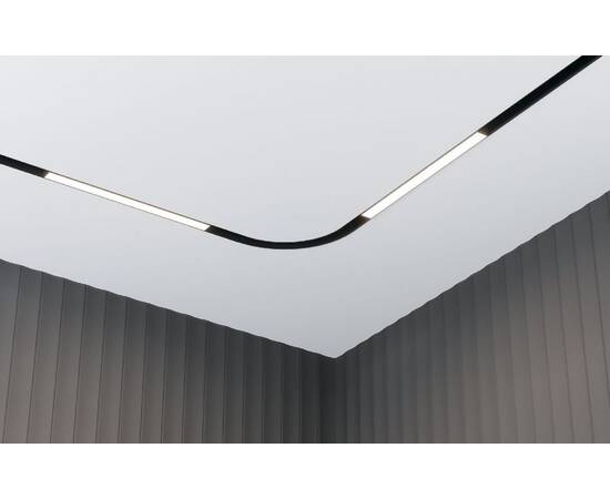 Трековый светодиодный светильник Maytoni Technical Basis TR030-4-12WTW-DSZ-B, изображение 3