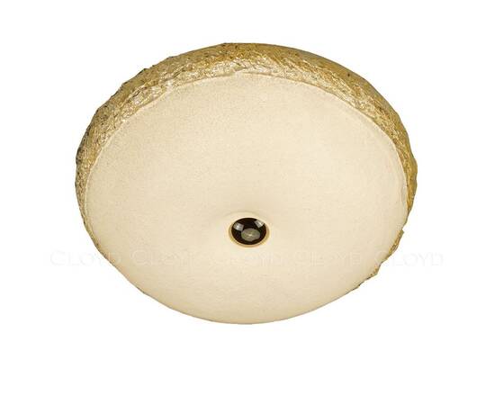 Настенно-потолочный светильник Cloyd Nectar 11324, изображение 3