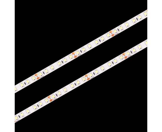 Светодиодная лента Loft IT Strip 24В 9,6Вт/м 4000K 5м IP20 10363/12020 NW, изображение 4