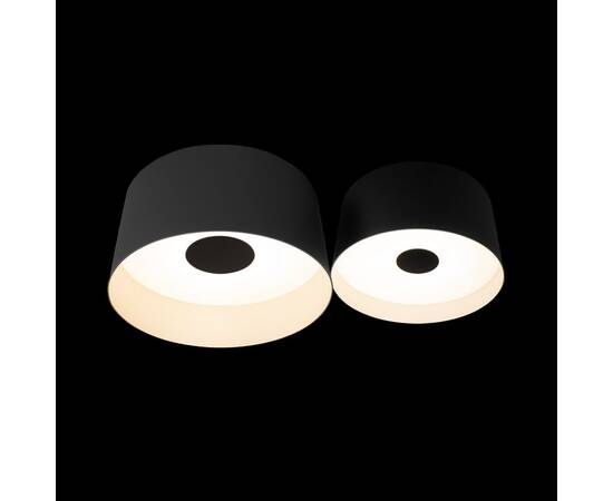 Потолочный светильник Loft IT Duo 10360/2, изображение 2