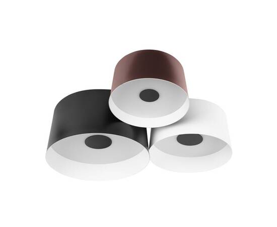 Потолочный светильник Loft IT Duo 10360/3