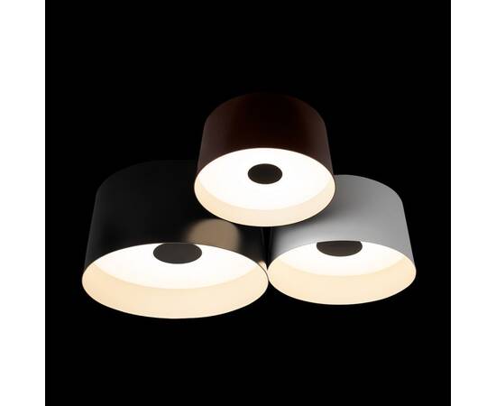 Потолочный светильник Loft IT Duo 10360/3, изображение 2