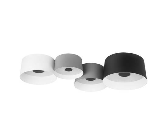 Потолочный светильник Loft IT Duo 10360/4