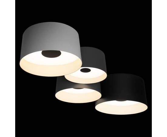 Потолочный светильник Loft IT Duo 10360/4, изображение 4