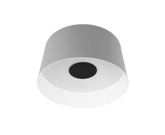 Потолочный светильник Loft IT Duo 10360M Grey