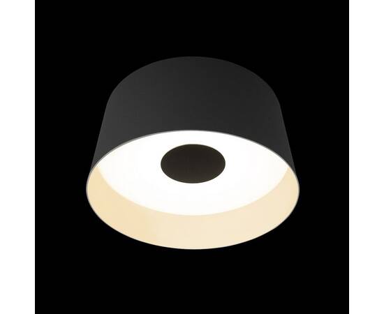 Потолочный светильник Loft IT Duo 10360M Grey, изображение 2