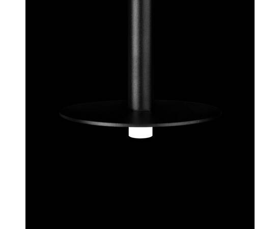 Подвесной светильник Loft IT Reed 10358/830 Disk, изображение 8