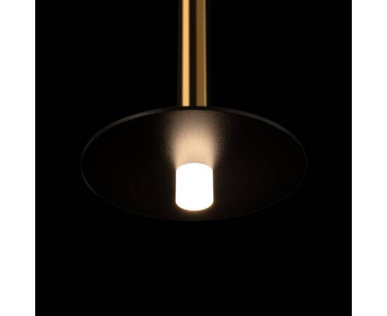 Подвесной светильник Loft IT Reed 10358/830 Disk AB, изображение 6