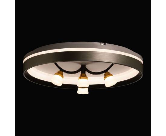 Потолочная люстра De Markt Норден 660014901, изображение 3