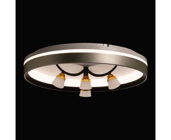 Потолочная люстра De Markt Норден 660014901, изображение 4