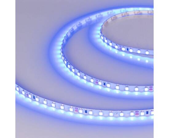 Светодиодная лента Arlight RT-A120-5mm 24V Blue (9.6 W/m, IP20, 2835, 5m) 015660(3), изображение 2