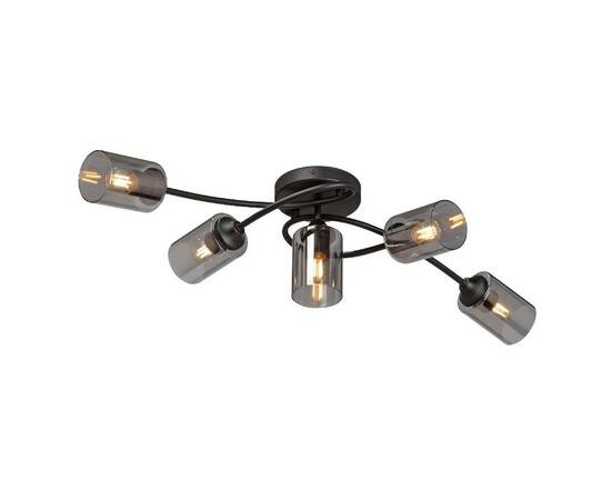 Потолочная люстра Vitaluce V2048-1/5PL