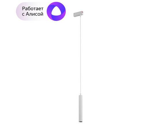 Трековый светодиодный светильник Denkirs DK8008-WH