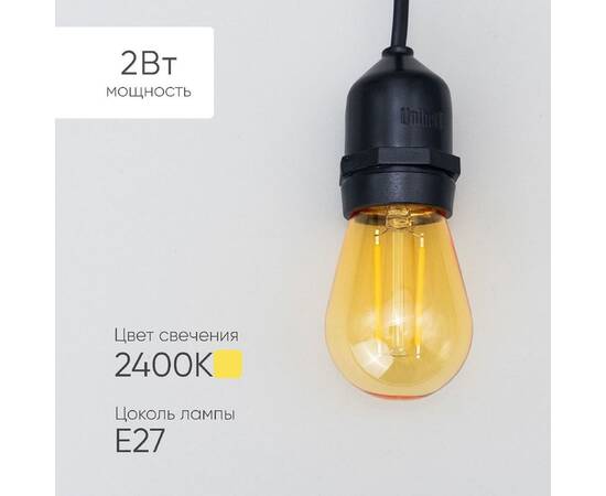 Лампа филаментная Laitcom (LTC) Professional Е27 2W 2400K FLM27-2W-2TN