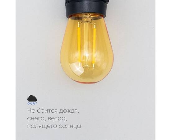 Лампа филаментная Laitcom (LTC) Professional Е27 2W 2400K FLM27-2W-2TN, изображение 3