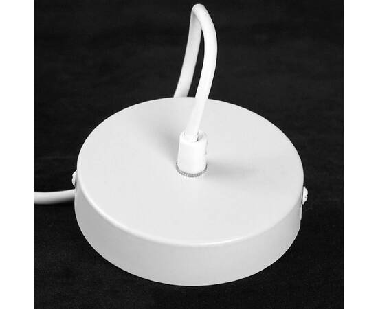 Подвесной светильник Lussole LSP-8972, изображение 5