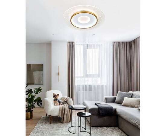 Потолочный светильник LED4U L1027-500 WH-GD, изображение 2