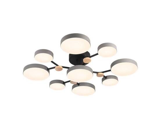 Потолочная люстра LED4U L3201-780 GR, изображение 2