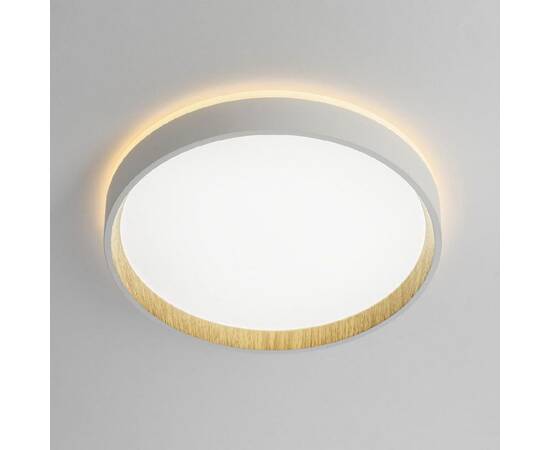 Потолочный светильник Citilux Etalon CL750240, изображение 2