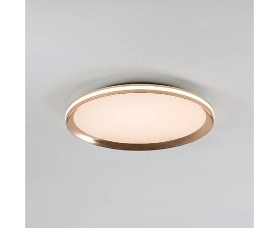 Потолочный светильник LED4U L3020-400 GD, изображение 2