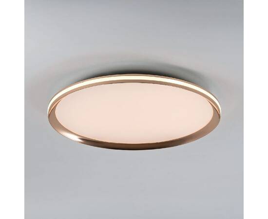 Потолочный светильник LED4U L3020-500 GD, изображение 2