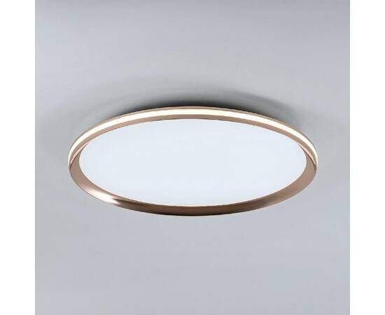 Потолочный светильник LED4U L3020-500 GD, изображение 4