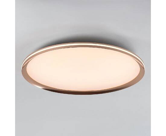 Потолочный светильник LED4U L3020-600 GD, изображение 3