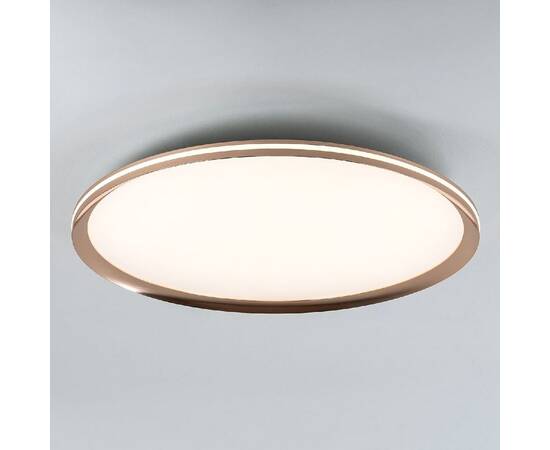 Потолочный светильник LED4U L3020-600 GD, изображение 4