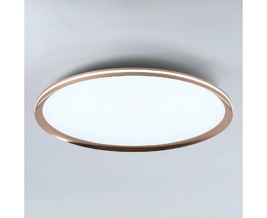 Потолочный светильник LED4U L3020-600 GD, изображение 5