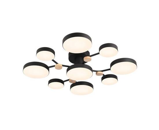 Потолочная люстра LED4U L3201-780 BK, изображение 2