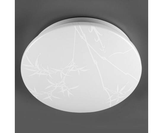 Потолочный светильник General Reed GSMCL-019-24 800258