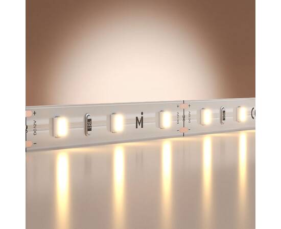 Светодиодная лента Maytoni Base 12В 2835 4,8Вт/м 3000K 5м IP20 201162, изображение 2