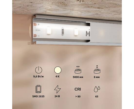 Светодиодная лента Maytoni Base 24В 2835 9,6Вт/м 4000K 5м IP65 201181, изображение 3