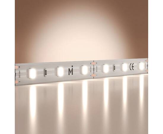 Светодиодная лента Maytoni Base 12В 2835 9,6Вт/м 6000K 5м IP20 201170, изображение 2