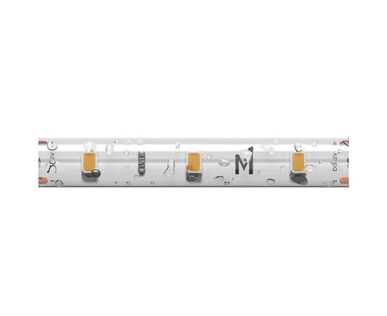 Светодиодная лента Maytoni Base 12В 2835 9,6Вт/м 6000K 5м IP65 201176
