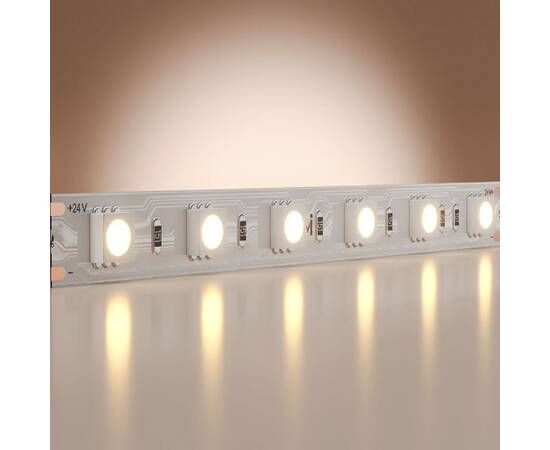 Светодиодная лента Maytoni Base 24В 5050 14,4Вт/м 3000K 5м IP20 201189, изображение 2