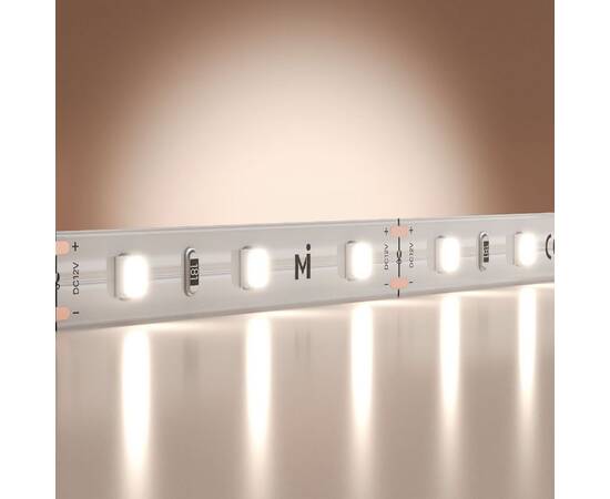 Светодиодная лента Maytoni Base 12В 2835 4,8Вт/м 6000K 5м IP20 201164, изображение 2