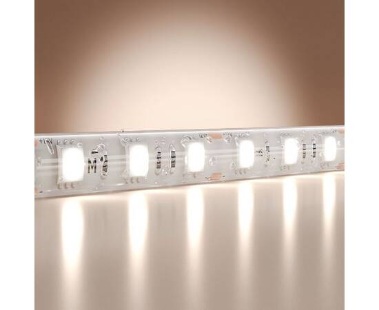 Светодиодная лента Maytoni Base 12В 5050 14,4Вт/м 6000K 5м IP65 201188, изображение 2