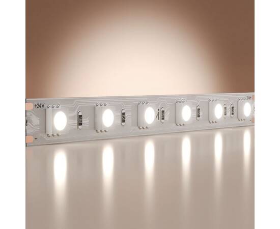 Светодиодная лента Maytoni Base 24В 5050 14,4Вт/м 6000K 5м IP20 201191, изображение 2