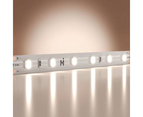 Светодиодная лента Maytoni Base 24В 2835 9,6Вт/м 6000K 5м IP20 201179, изображение 2